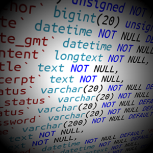 Explanation of The Various Data Types in MySQL Based on User ...