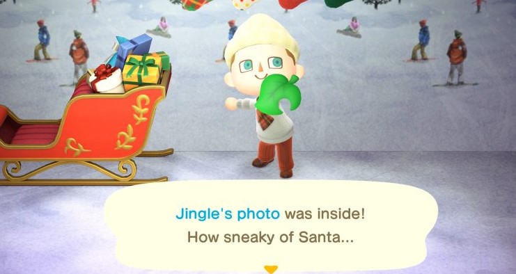 Getting Jingle's Photo