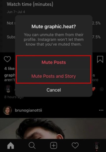tap on Mute Posts or Mute Posts and Story.