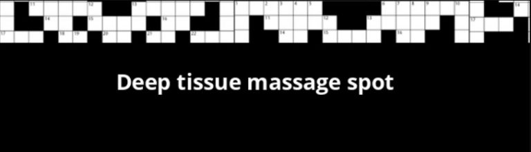 Deep Tissue Massage Spot Crossword Clue AlfinTech Computer