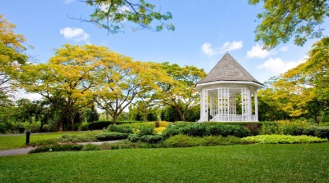 Bing Garden Quiz1