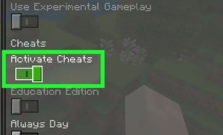 Activate Cheats switch