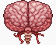 Brain of Cthulu