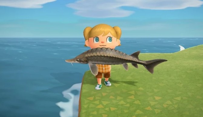 List Fish Animal Crossing