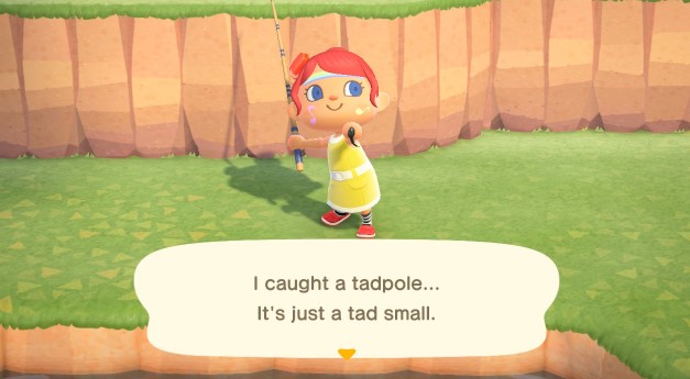 What is the Cheapest Fish in Animal Crossing