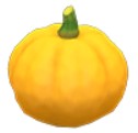 Yellow pumpkin