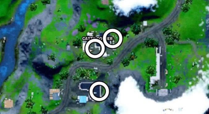 Finding vintage can of cat food in Catty Corner