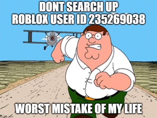 Roblox User ID 235269038