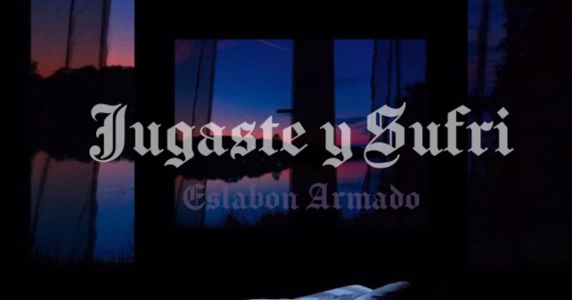 Jugaste Y Sufrí Roblox ID