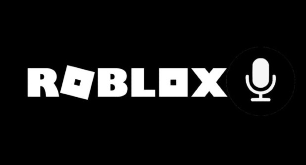 Roblox Voice Chat Game Name