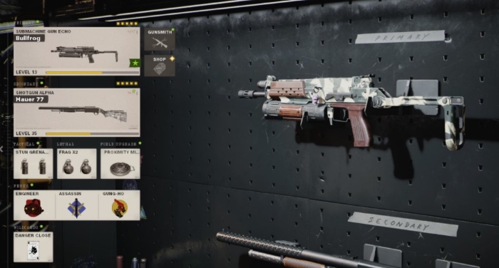 How Old Do You Have to Be to Get Bullfrog in Warzone