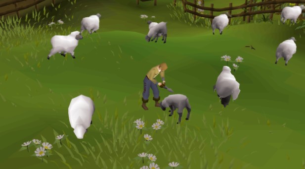 Sheep Shearer Quest