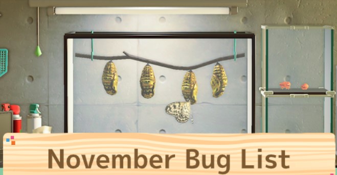 ACNH November Bugs