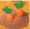 Carrots1