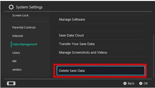 Choose Delete Save Data