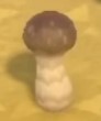 Elegant Mushroom acnh