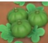 Green Pumpkin acnh1