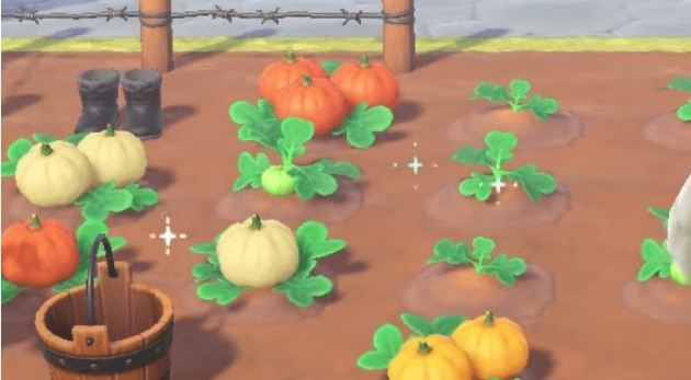 How to Get White Pumpkin ACNH Faster