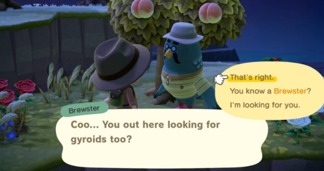 Hunting for Brewster