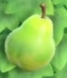 Pear acnh1
