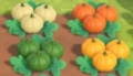 Two pumpkin colors not previously requested