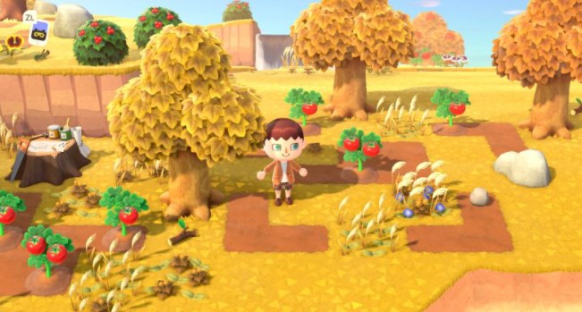 Vegetable Farm Islands-