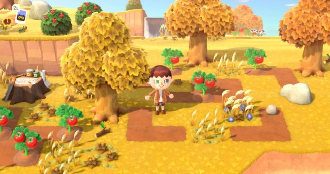 Vegetable Farm Islands