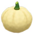 What Can You Do with White Pumpkin