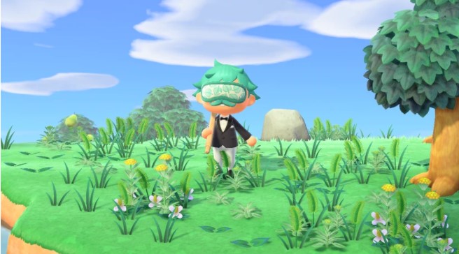 What Happens if You Don't Play Animal Crossing New Horizons for a Year