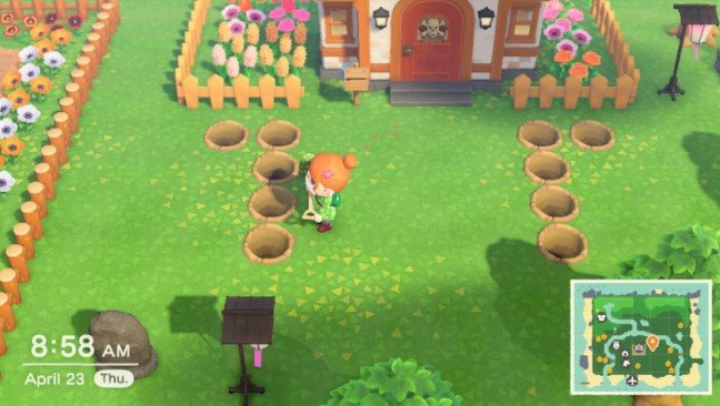 dig a hole by using a shovel.