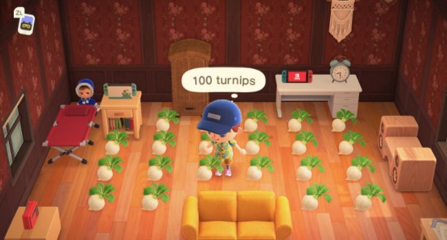 store your turnips inside your house