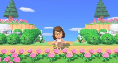 How Many Flowers Do You Need for a 5-Star Island in ACNH