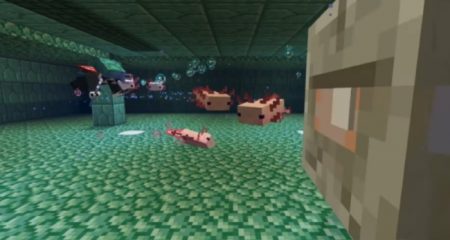 How to Feed Tropical Fish to Axolotl Minecraft