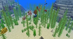 How to Spawn Tropical Fish in Minecraft