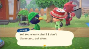 Learn More About Catchphrase in ACNH