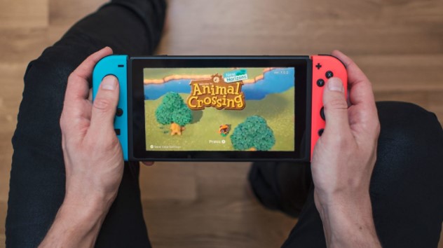 What is the Point of Animal Crossing on Switch