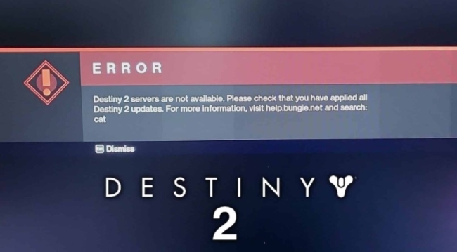 Destiny 2 Error Code Cat but No Update