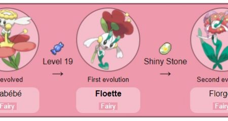 Floette Evolution Chart Level