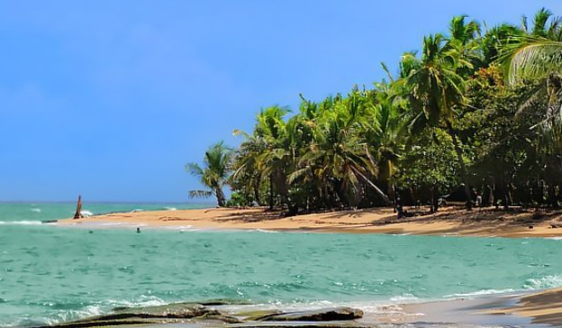 Playa Punta Uva