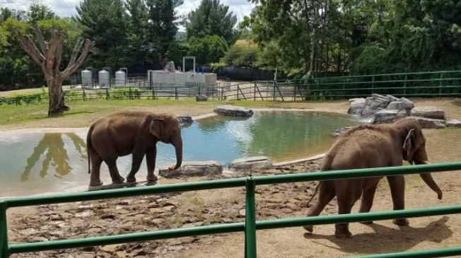 Visit Rosamond Gifford Zoo