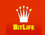 BitLife Best Country for Royalty