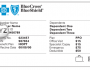 Where is the Policy Number on BCBS Insurance Card