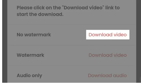 Download Video’ button in the option of ‘No Watermark’