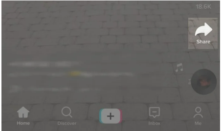 Save TikTok Videos Using TTDownloader