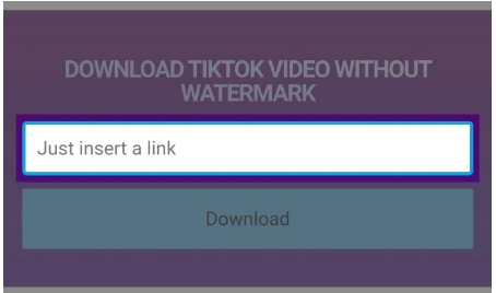  Save TikTok Videos Without Watermark Using SSSTik
