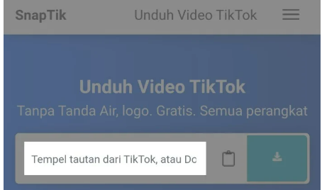  Save TikTok Videos Without Watermark Using SnapTik