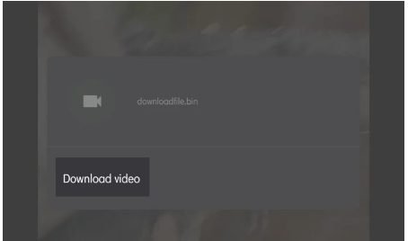 click on the ‘Download Video in SnapTik