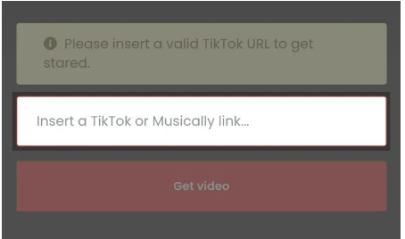 paste the link that you’ve copied to the ‘Insert a TikTok or Musically link’