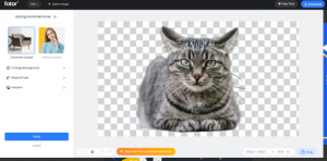 Using Background Remover menu in Fotor