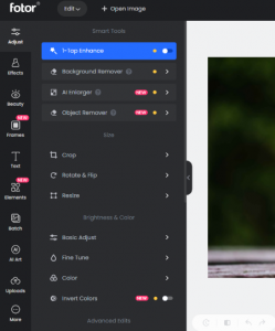 click Background Remover option in the side menu
